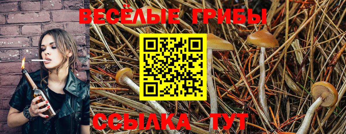 Псилоцибиновые грибы MAGIC MUSHROOMS Каспийск