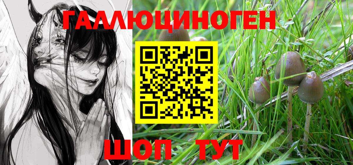 Галлюциногенные грибы MAGIC MUSHROOMS  Вход с VPN  Псилоцибиновые грибы MAGIC MUSHROOMS  Каспийск 